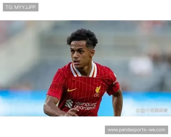 美洲杯转会市场风云：球员动向与潜力新星崭露头角