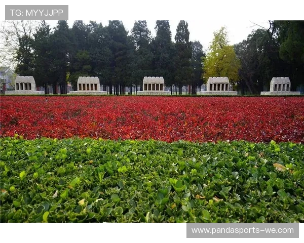 以先农坛体育场为核心，打造京城文化与体育新地标的规划蓝图